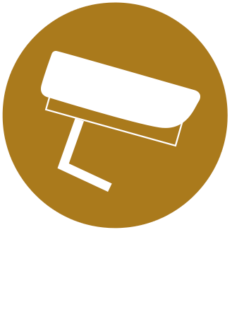 Seguridad Electrónica